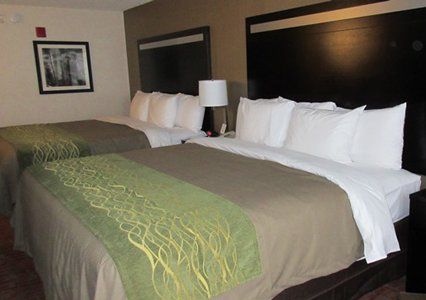 Comfort Painesville