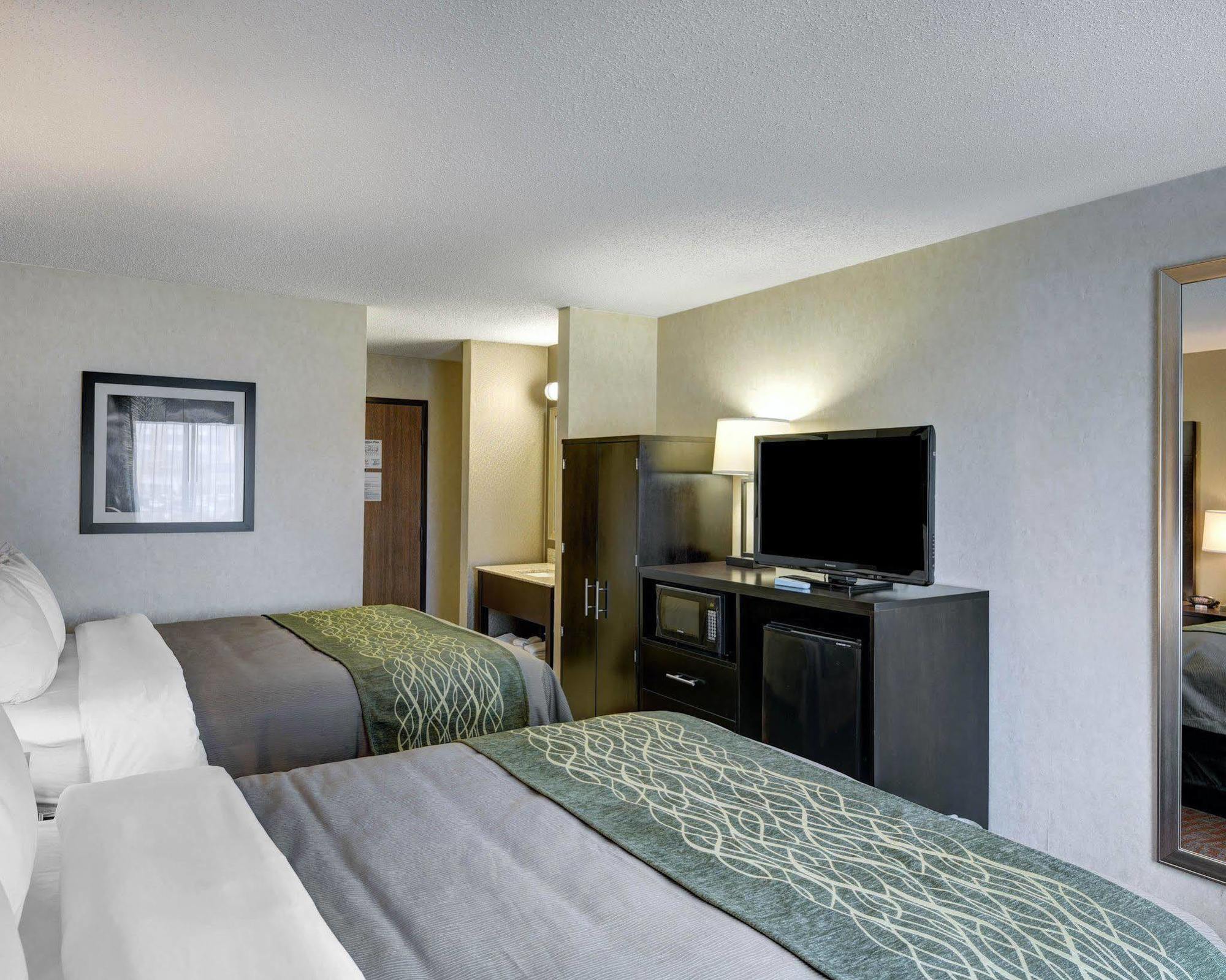 Comfort Painesville